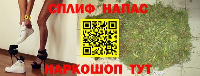стафф Будённовск