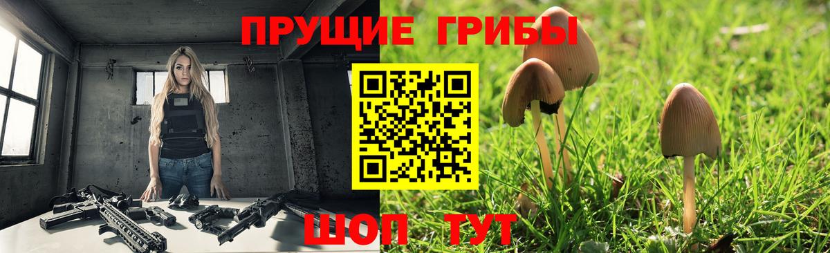 Галлюциногенные грибы MAGIC MUSHROOMS Новороссийск